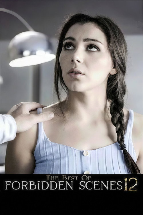 Movie poster for The Best of Forbidden Scenes 12 (2025)