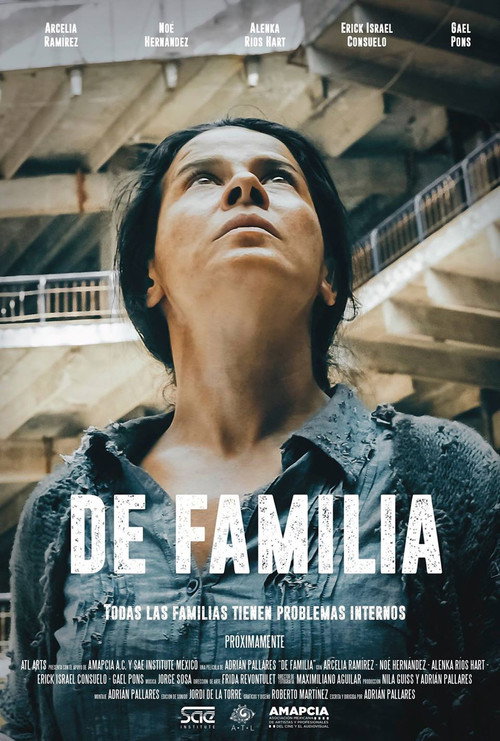 Movie poster for About Family (2017)