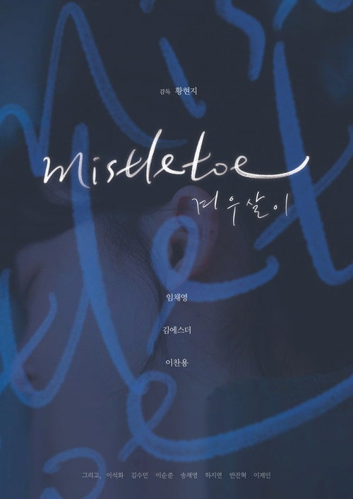 Movie poster for mistletoe (2025)