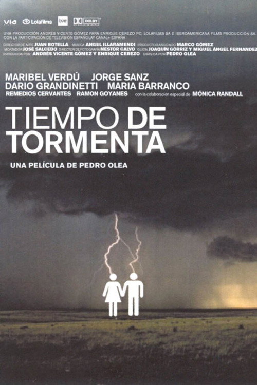 Movie poster for Stormy Weather (2003)
