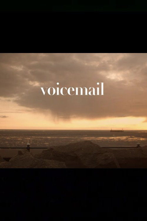 Movie poster for Voicemail