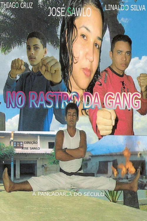 Movie poster for No Rastro da Gang (2009)