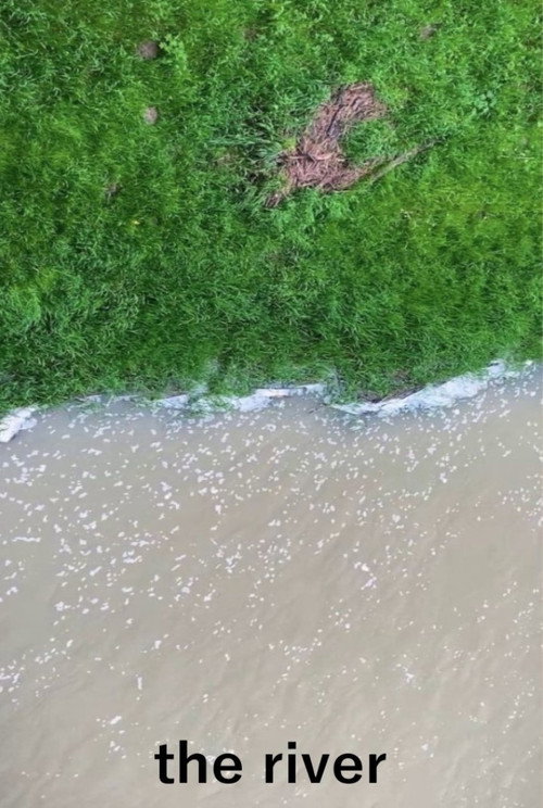 Movie poster for The River (2024)