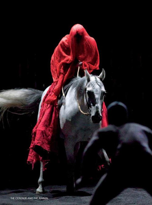 Movie poster for The Centaur and the Animal (2010)