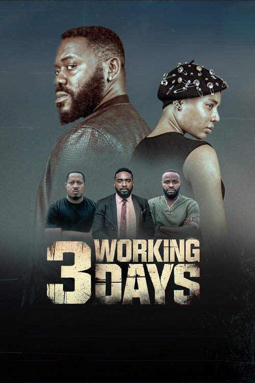 Movie poster for 3 Working Days (2024)