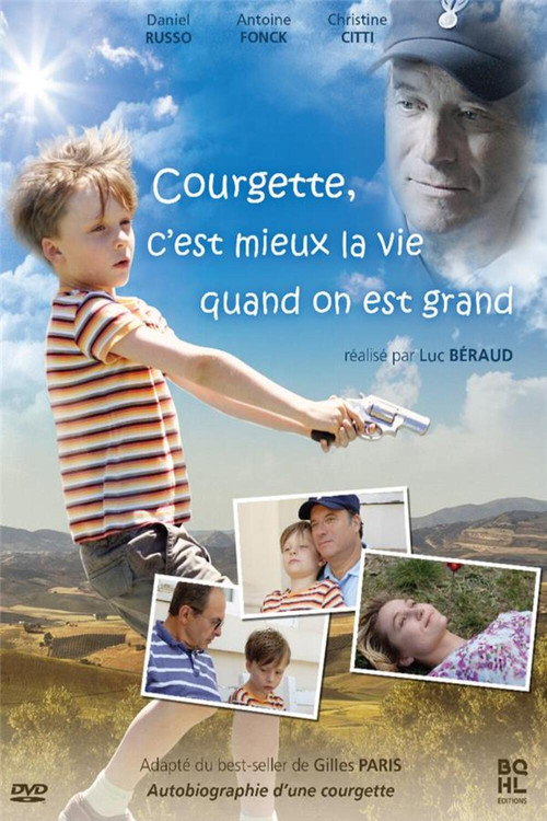 Movie poster for C'est mieux la vie quand on est grand (2008)