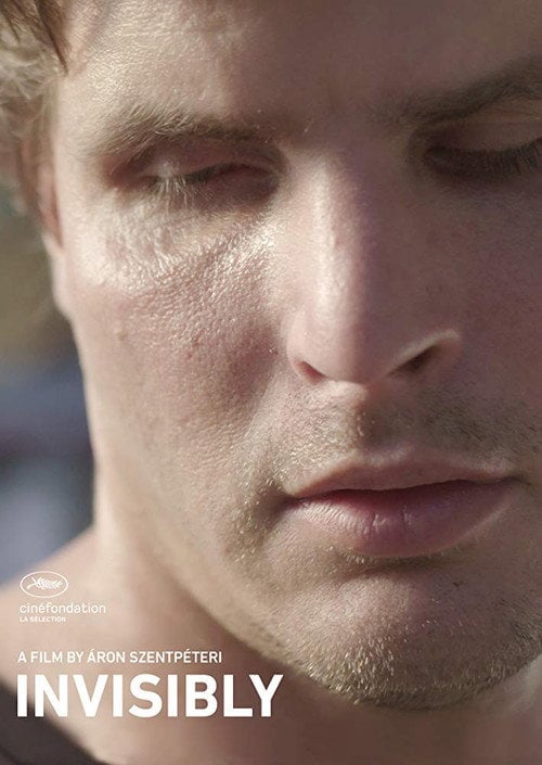Movie poster for Invisibly (2017)