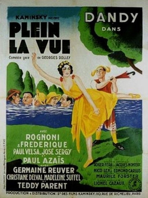 Movie poster for Full view (1931)