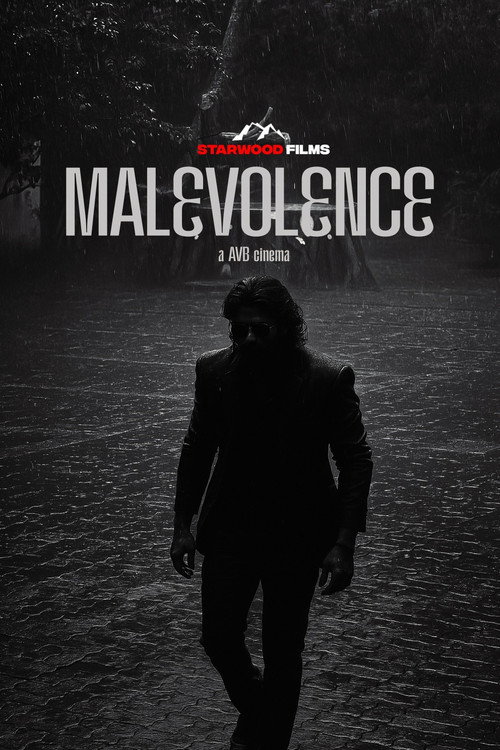 Movie poster for Malevolence (2025)