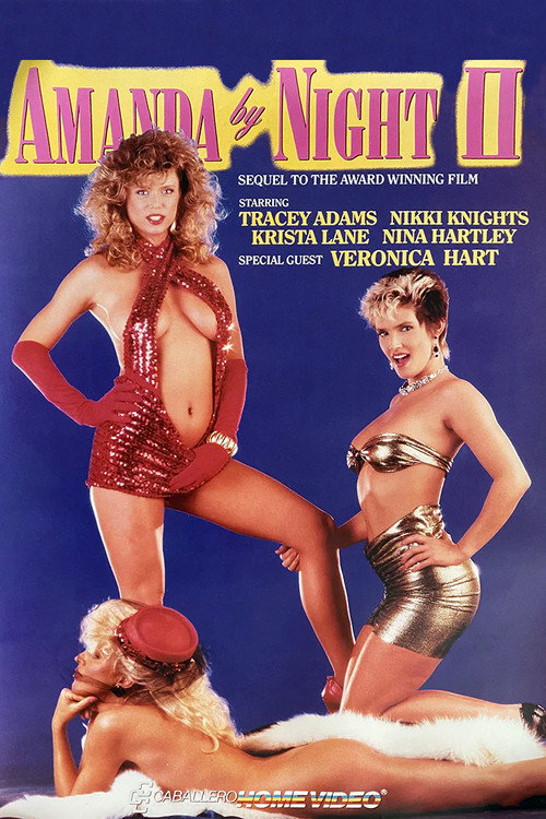 Movie poster for Amanda by Night 2 (1987)