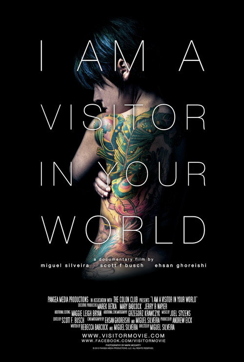 Movie poster for I Am a Visitor in Your World (2013)