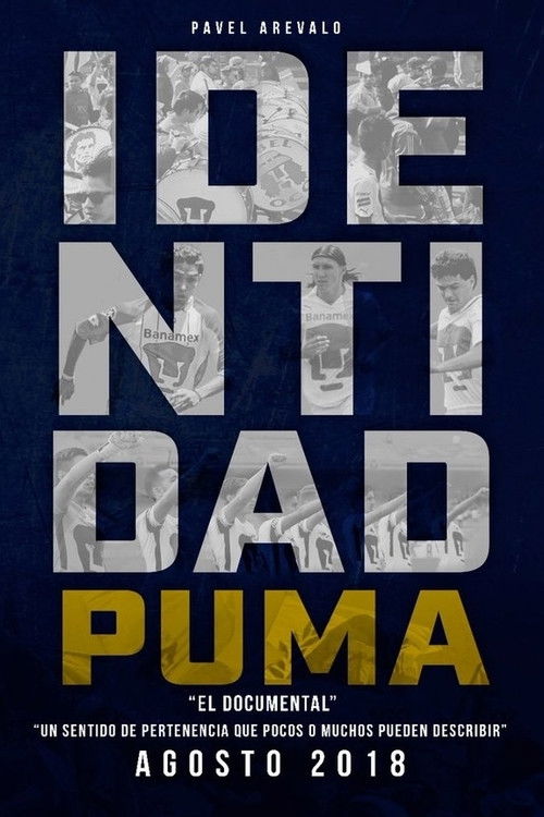 Movie poster for Puma Identity (2018)
