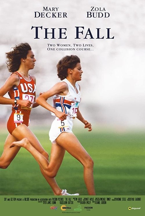 Movie poster for The Fall (2016)