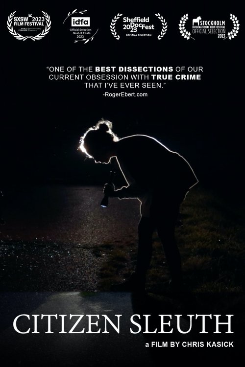 Movie poster for Citizen Sleuth (2023)