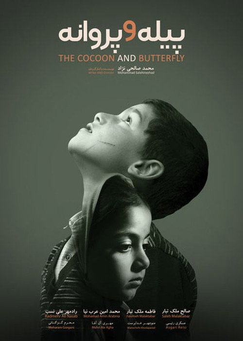 Movie poster for The Cocoon & Butterfly (2020)