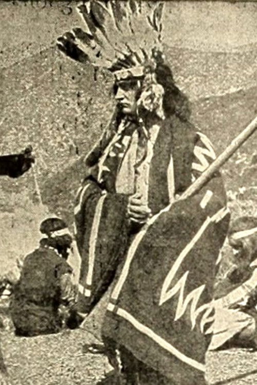 Movie poster for The Indian Brothers (1911)