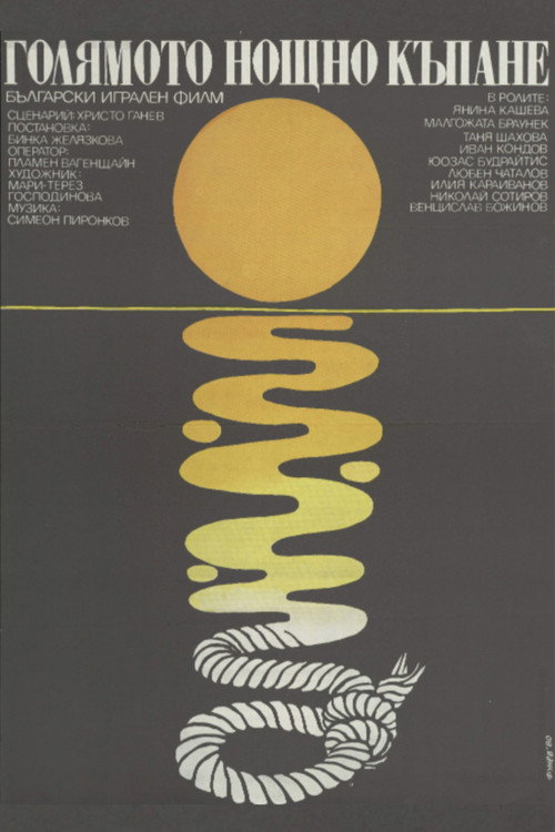 Movie poster for The Big Night Bathe (1980)
