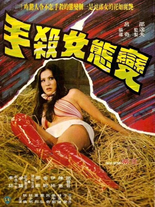 Movie poster for Mysterious Lady Killer (1977)
