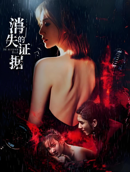 Movie poster for 消失的证据 (2026)