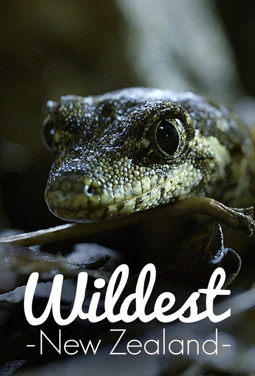 Series poster for Wildest New Zealand (2017)