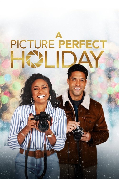 Movie poster for A Picture Perfect Holiday (2021)