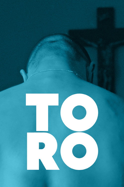 Movie poster for Toro (2015)