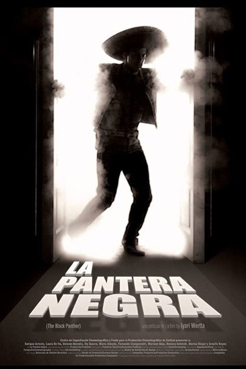 Movie poster for La pantera negra (2010)