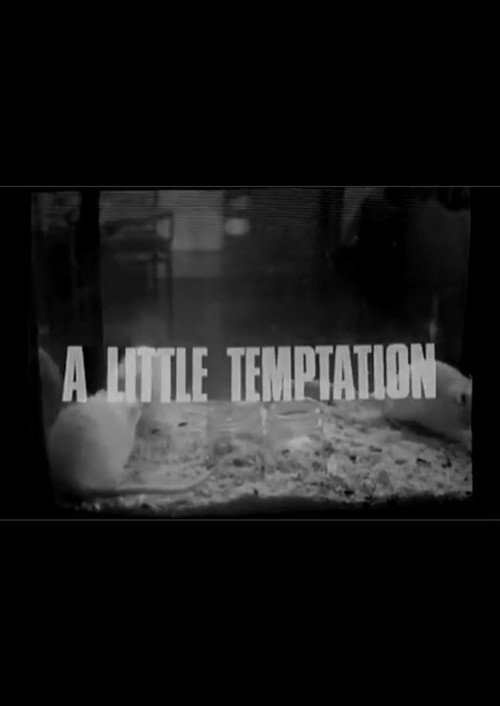 Movie poster for A Little Temptation (1965)