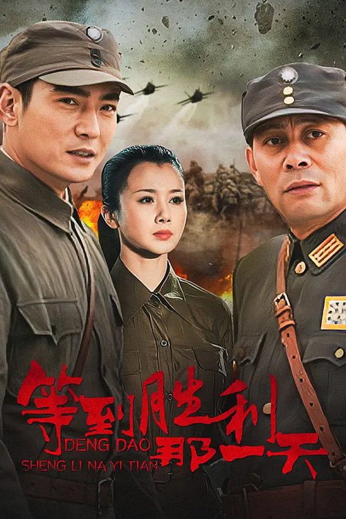 Series poster for 等到胜利那一天 (2010)