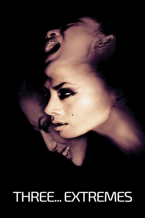 Movie poster for Three... Extremes (2004)