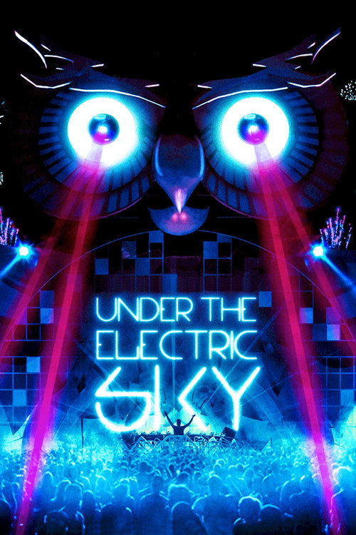 Movie poster for Under the Electric Sky (2014)