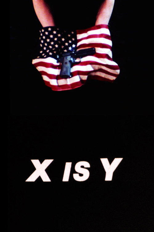 Movie poster for X Is Y (1990)