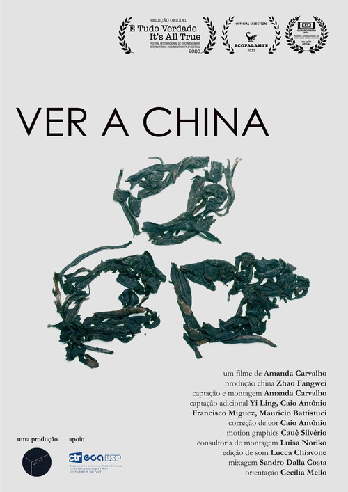 Movie poster for Ver a China (2019)