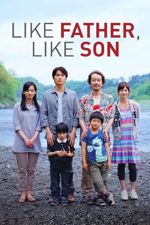 Movie poster for Like Father, Like Son (2013)