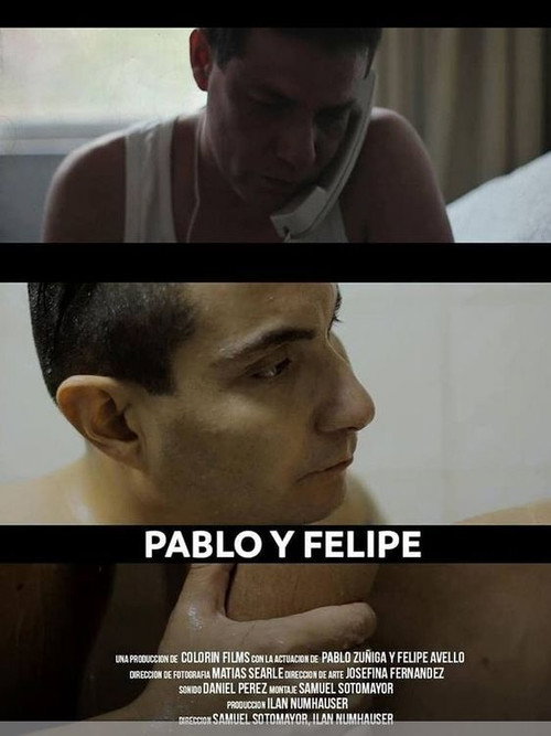 Movie poster for Pablo y Felipe (2012)