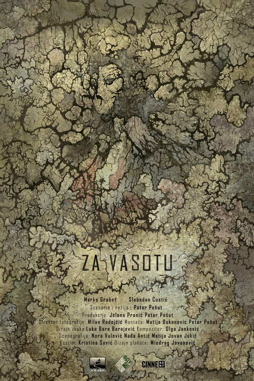 Movie poster for To Vasota (2020)