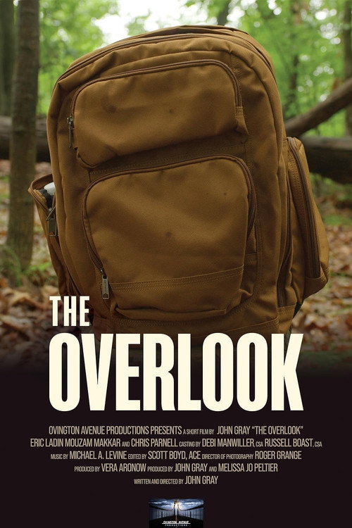 Movie poster for The Overlook (2023)
