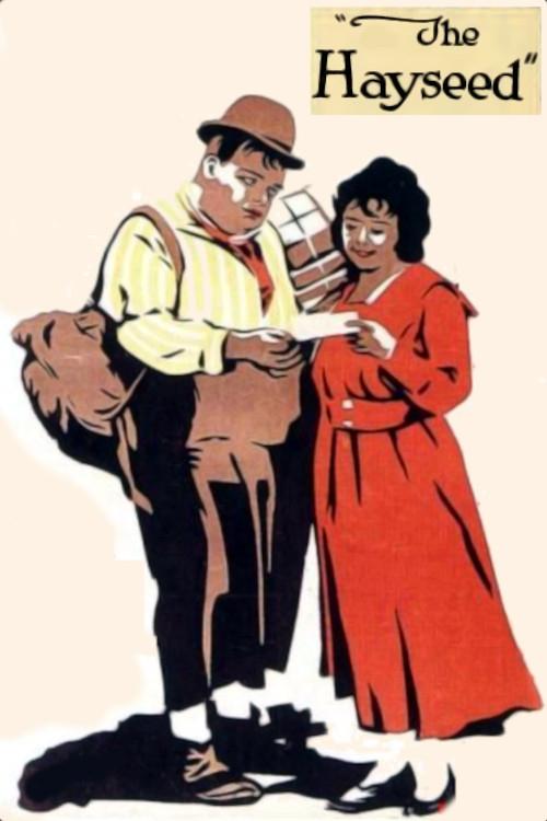 Movie poster for The Hayseed (1919)