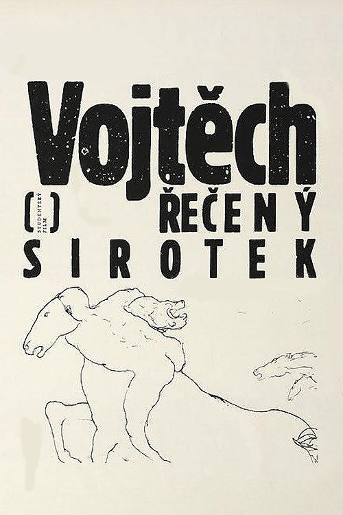 Movie poster for Vojtech, Called the Orphan (1990)