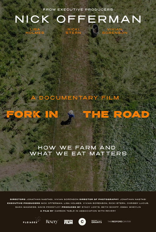 Movie poster for Fork in the Road