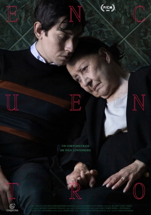 Movie poster for Encounter (2019)