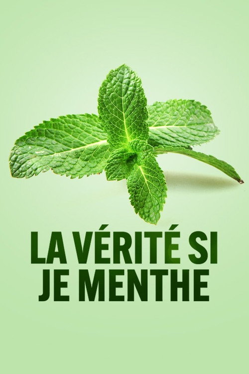 Movie poster for La vérité si je menthe (2021)