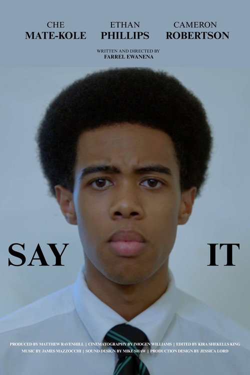 Movie poster for Say It