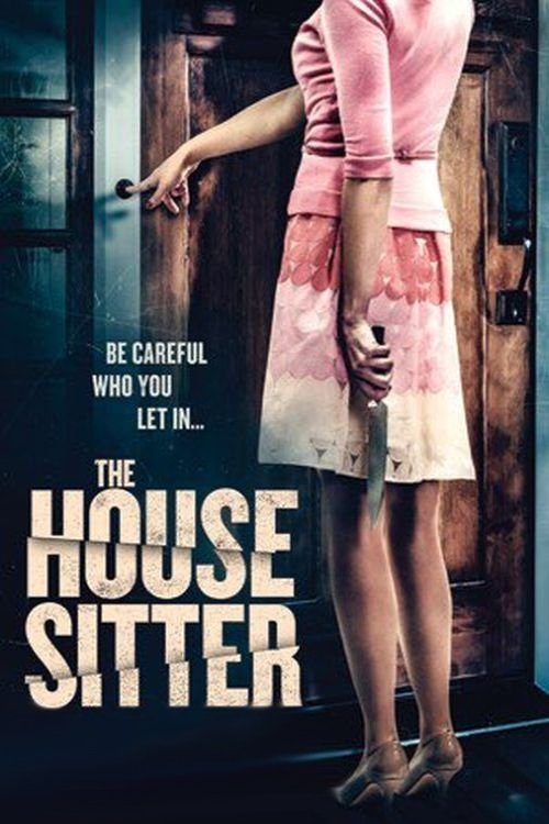 Movie poster for The House Sitter (2015)