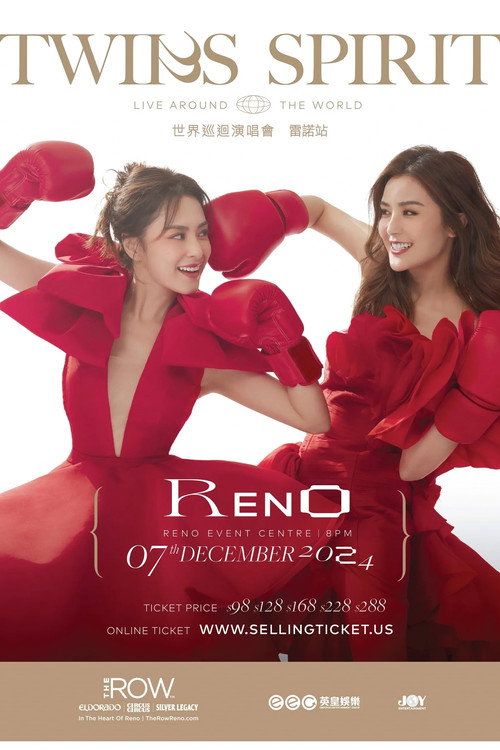 Movie poster for Twins SPIRIT Since 2001 Live 2024 (2024)