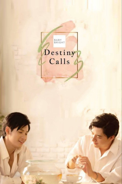 Movie poster for Destiny Calls (2019)