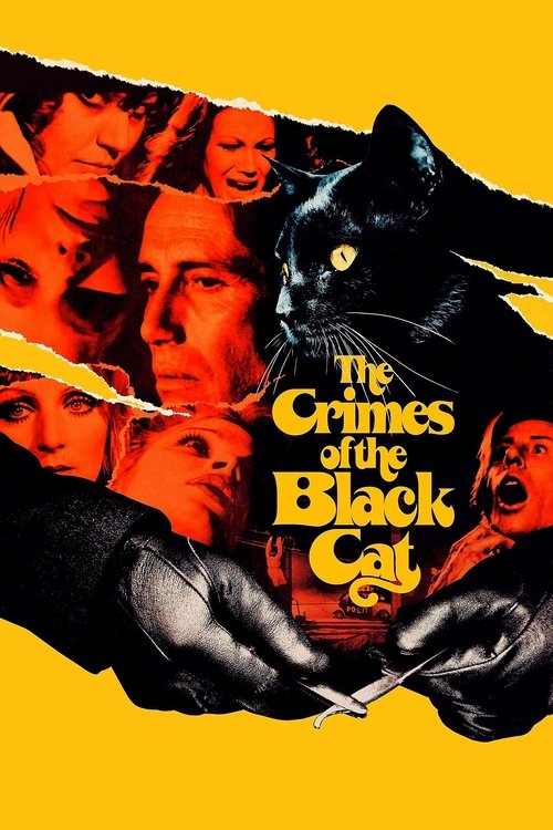 Movie poster for The Crimes of the Black Cat (1972)