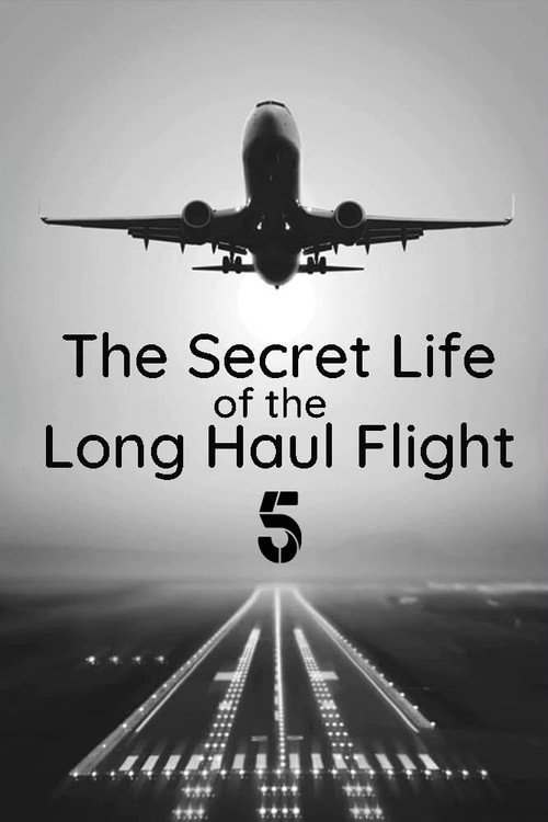 Movie poster for Secret Life of the Long Haul Flight (2017)