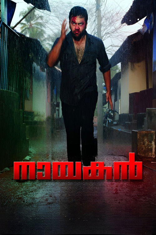 Movie poster for Nayakan (2010)