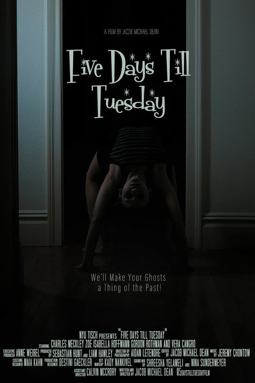 Movie poster for Five Days Till Tuesday (2024)